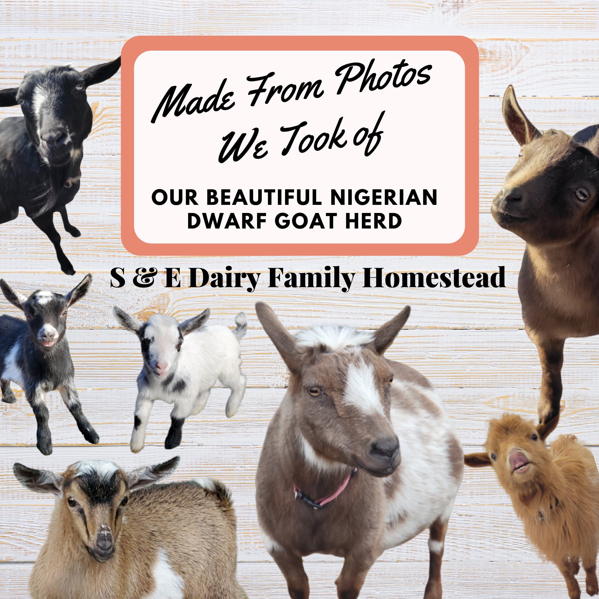 Goat Birthday Card, Gifts With Goats, Printable Goat Birthday Card