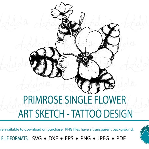 Primevère fleur unique stylisé Art croquis - conception de tatouage, Illustration de fleurs sauvages dessinés à la main, SVG PDF PNG jpg dxf eps, téléchargement numérique