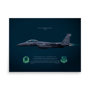 NightMode F-15E Strike Eagle 01-2004 494FS LN Lakenheath | Side View | Air Force USAF Fighter Jet Plane Litho Print Wall Art