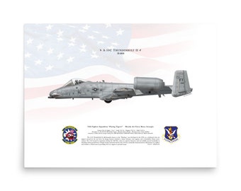 A-10C Thunderbolt II 78-0616 74FS FT Moody | Side View | Air Force USAF Fighter Jet Plane Litho Print Wall Art