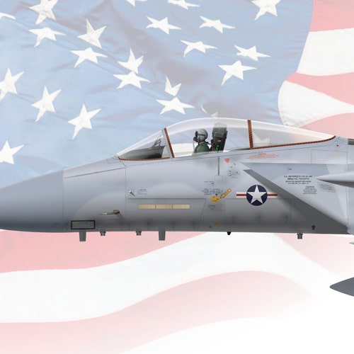 F-15Cイーグル 85-0114 デザートストーム 58TFS | サイドビュー | 空軍