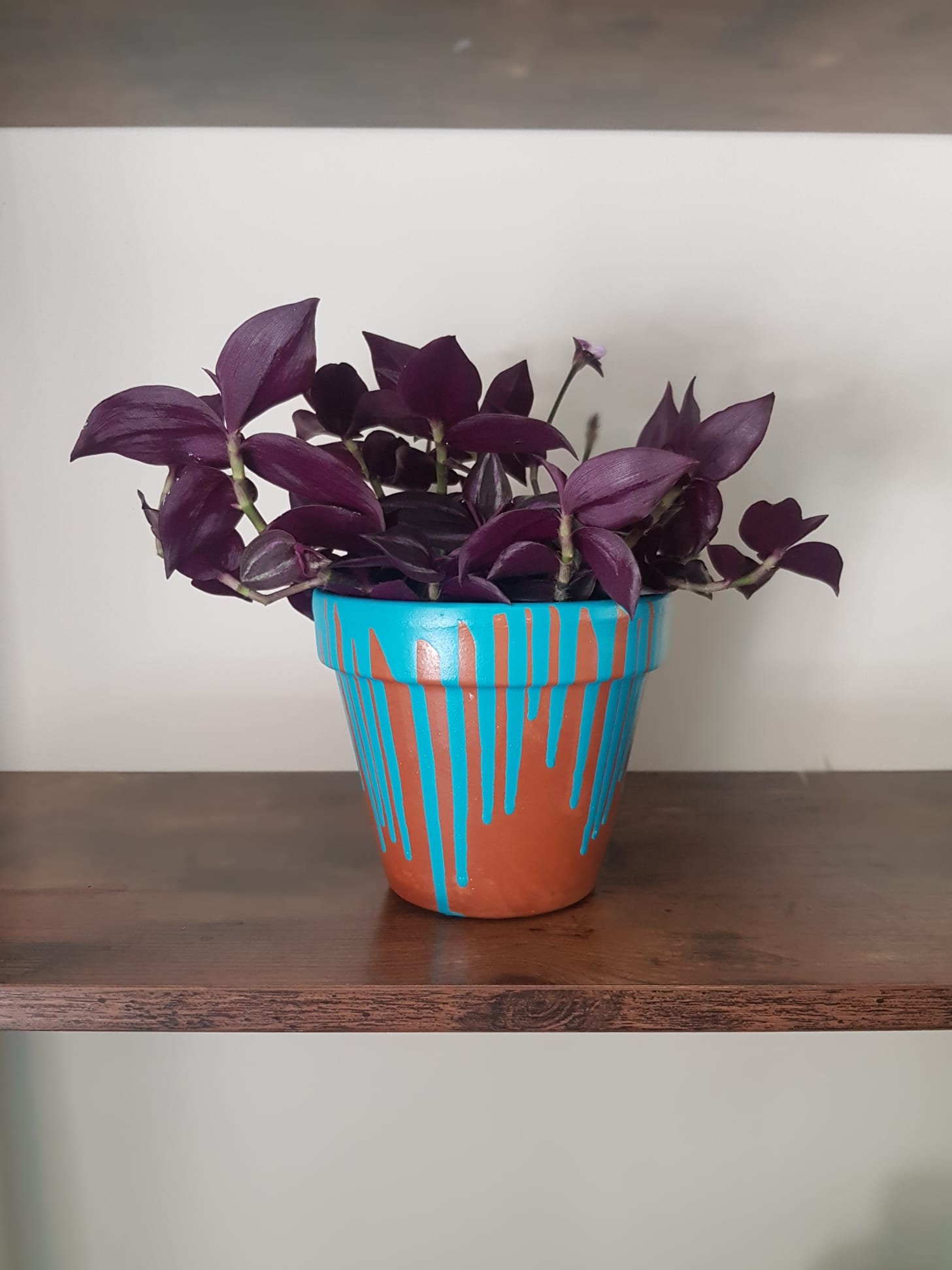Drip Plant Pot Etsy