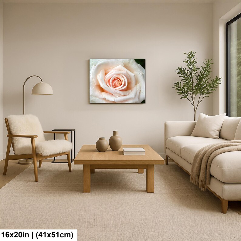 Blush Rose Photography Print, Soft Floral Botanical Wall Art for ...