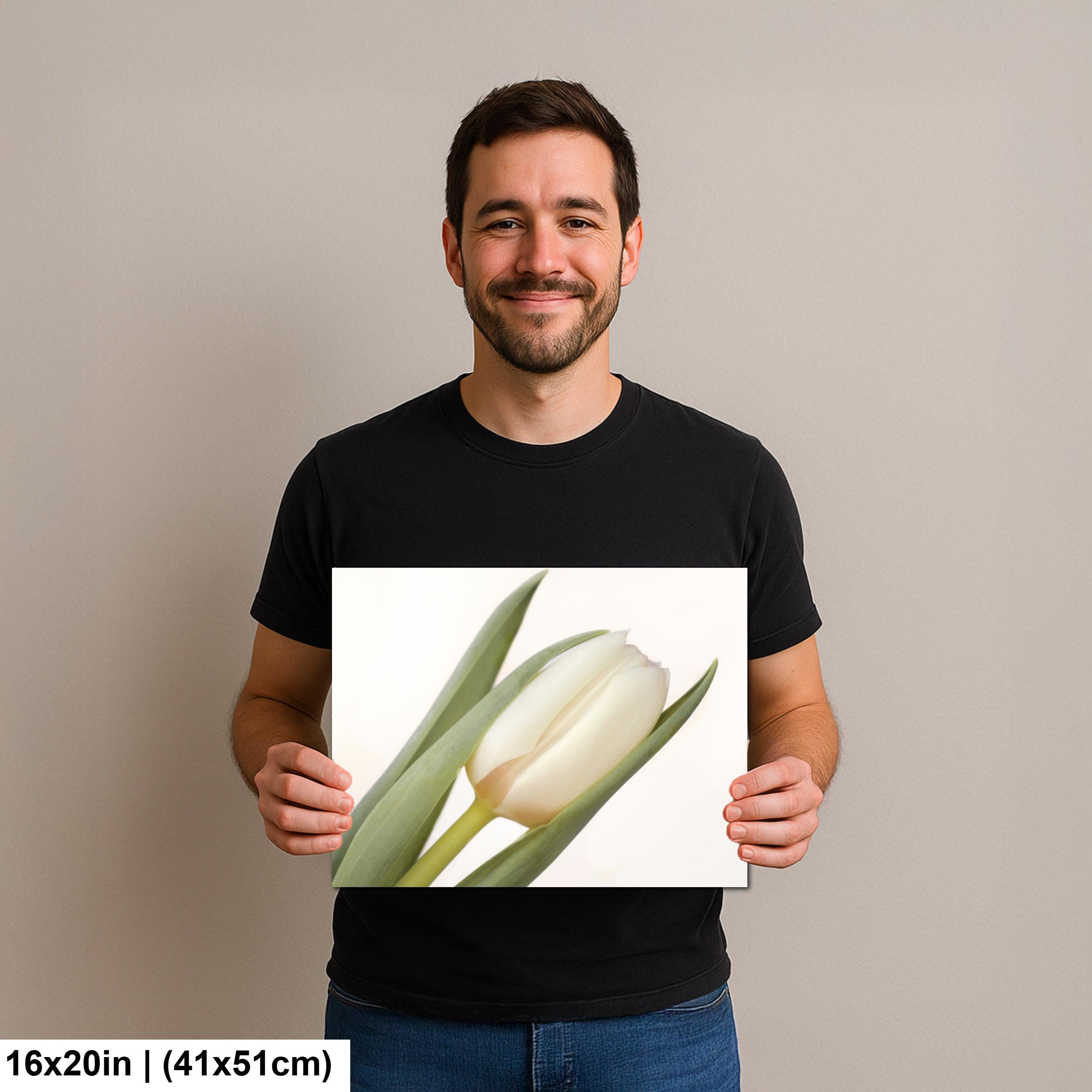 White Tulip in Stillness, Soft Neutral Floral Wall Art Print - Etsy