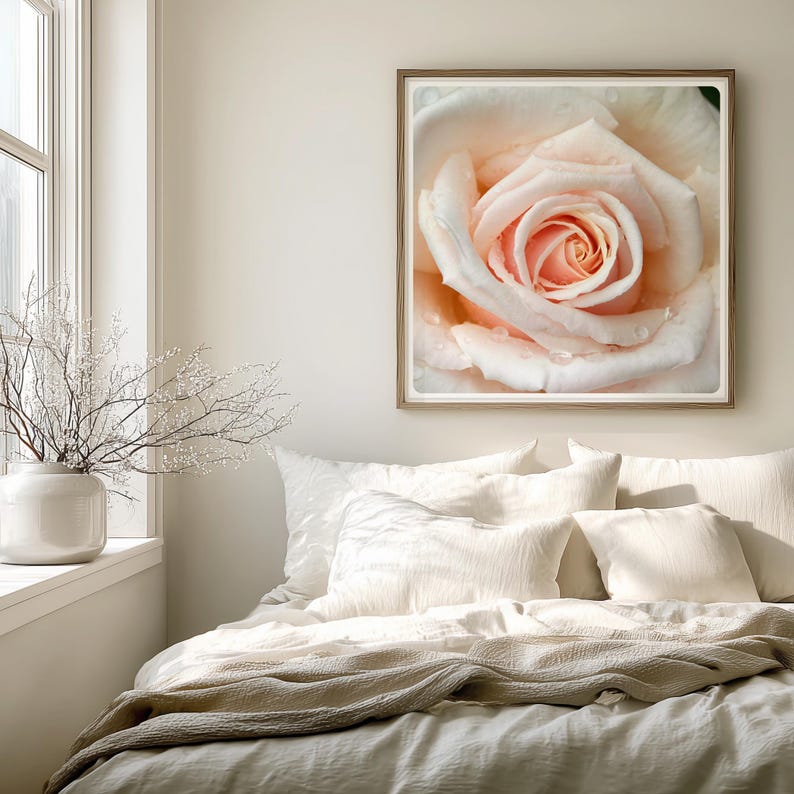Blush Rose Photography Print, Soft Floral Botanical Wall Art for ...