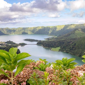 May include: A high-angle view of a large, calm lake nestled within a deep volcanic crater, surrounded by steep, green, forested hills under a cloudy blue sky. In the foreground, clusters of pink and green hydrangea flowers bloom.