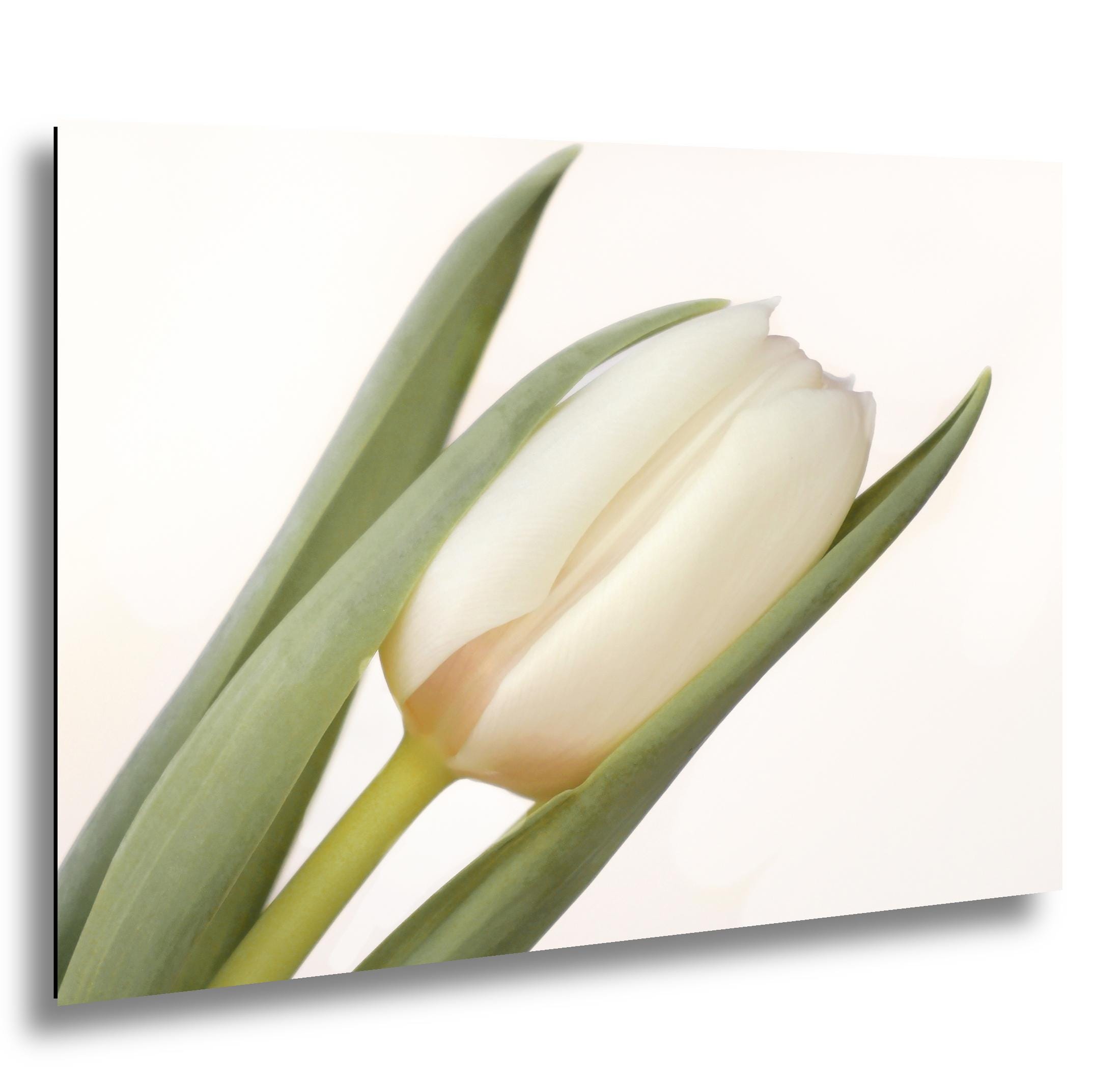 White Tulip in Stillness, Soft Neutral Floral Wall Art Print - Etsy