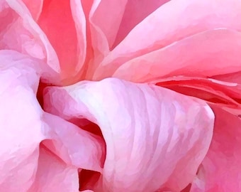 Pink Rose Wall Art | Painterly Floral Photography, Romantic Cottage Decor