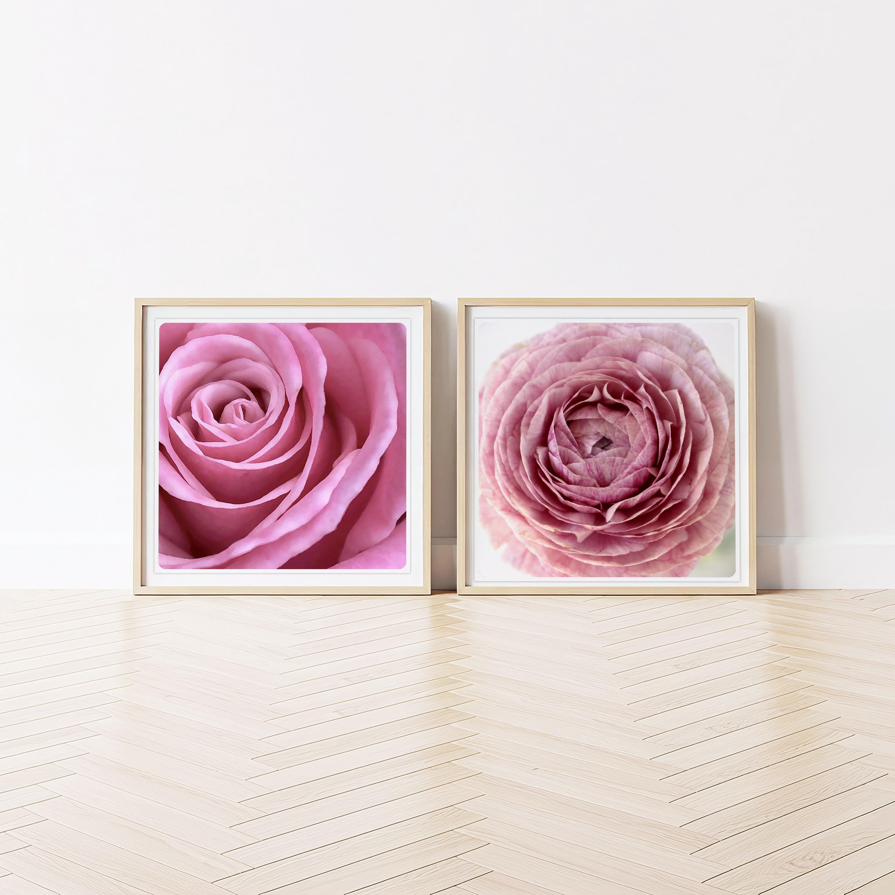 Blush Pink Floral Wall Art Set | Rose Ranunculus Botanical Prints (set ...