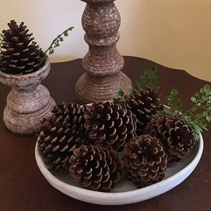 May include: A decorative arrangement featuring several brown pine cones in a white bowl, with a small fern and a decorative stone candle holder. A second stone candle holder is also visible.