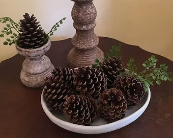 5 Dried Pinecones