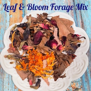 Leaf & Bloom Forage Mix for Hermit Crabs