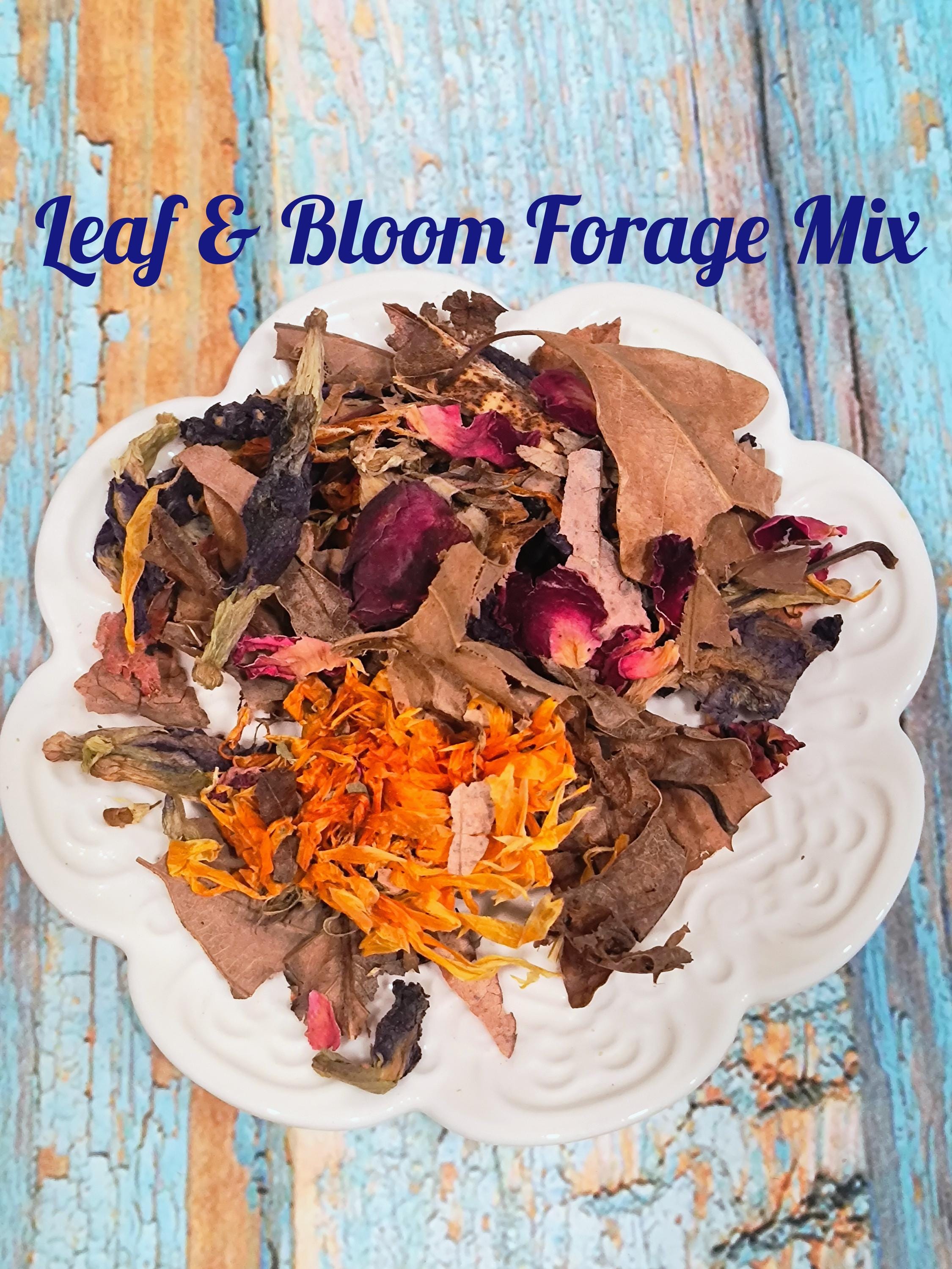 Leaf & Bloom Forage Mix for Hermit Crabs