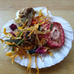 Organic Hermit Crab Foraging mix