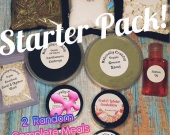 Free Shipping! Hermit Crab Starter Pack