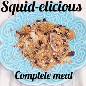 Squid-elicious Complete Meal for Hermit Crabs