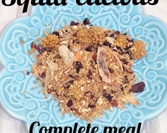 Squid-elicious Complete Meal for Hermit Crabs