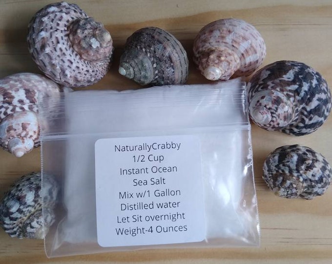 Instant Ocean Sea Salt for Hermit Crabs Makes 1 Gallon Etsy