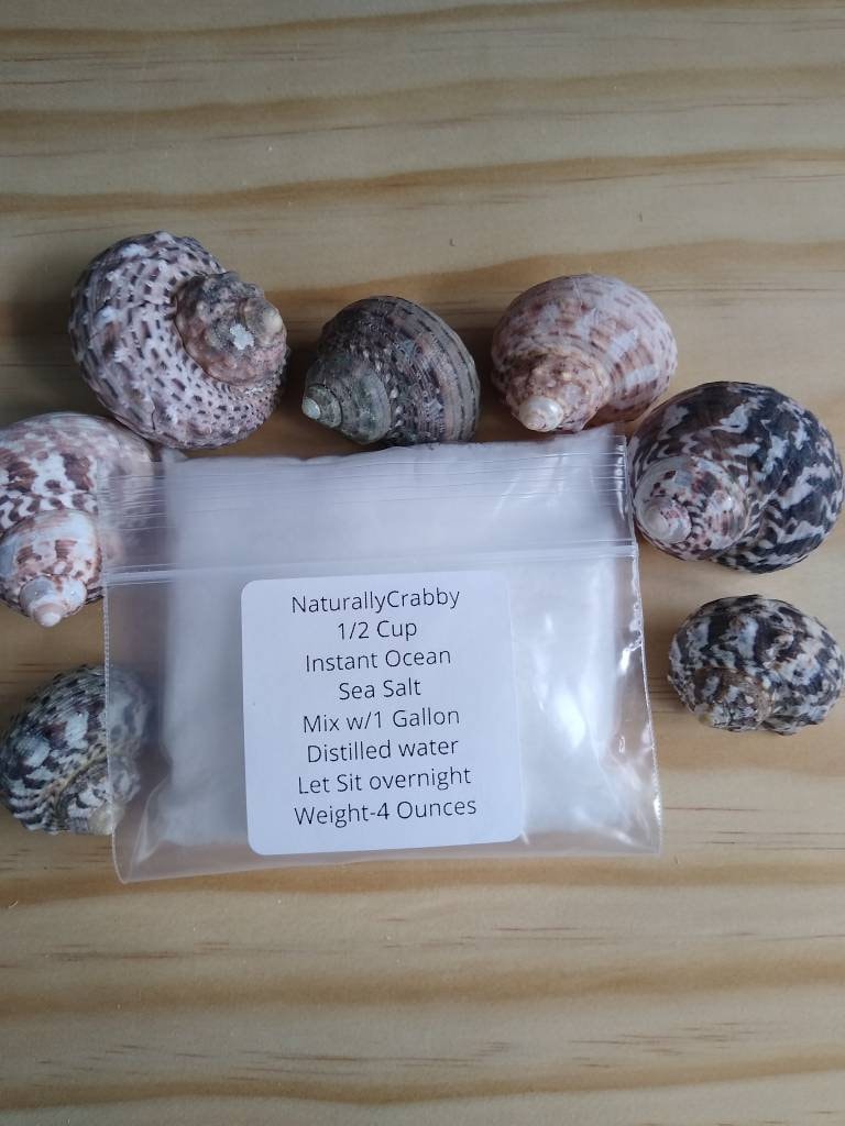 Instant Ocean Sea Salt For Hermit Crabs Makes 1 Gallon