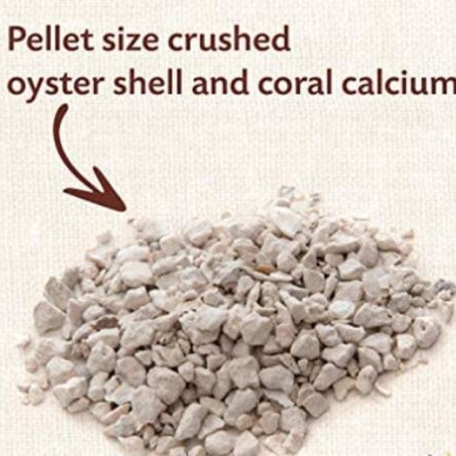 Calcium Blend Crushed Coral & Oyster Shell Hermit Crab Food Etsy