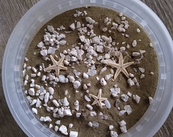 Healthy Hermit Sand Box  Hermit Crab Nutrients