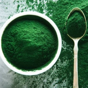 Organic Spirulina Powder For Hermit Crabs