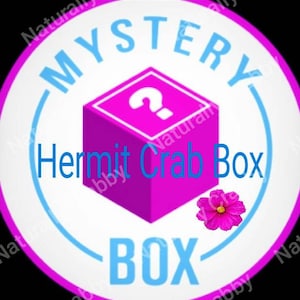 Hermit Crab Mystery Box