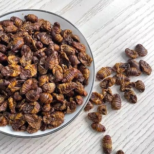 Freeze Dried Silkworm Pupae for Hermit Crabs