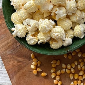 Mushroom Popcorn For Hermit Crabs