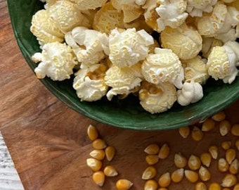 Mushroom Popcorn For Hermit Crabs