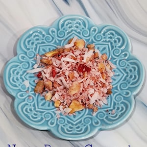 Nana Berry Coconut for Hermit Crabs