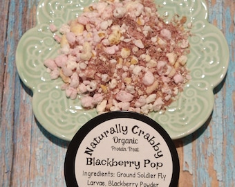 Blackberry Pop Protein Treat for Hermit Crabs