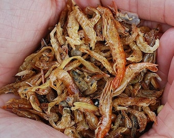Fish and Shrimp for Hermit Crabs
