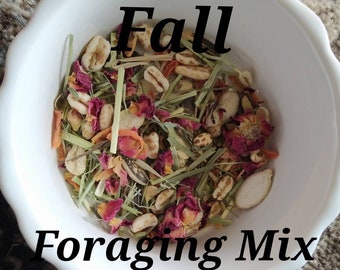 Fall Foraging Mix for Hermit Crabs  6 oz Jar