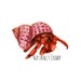 NaturallyCrabby store logo