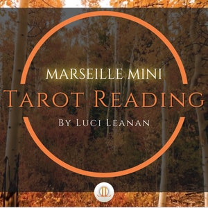 MARSEILLE MINI tarot reading / Viéville 1650 tarot deck / Five card reading / Psychic reading / Video reading / Lucky dip / Custom reading
