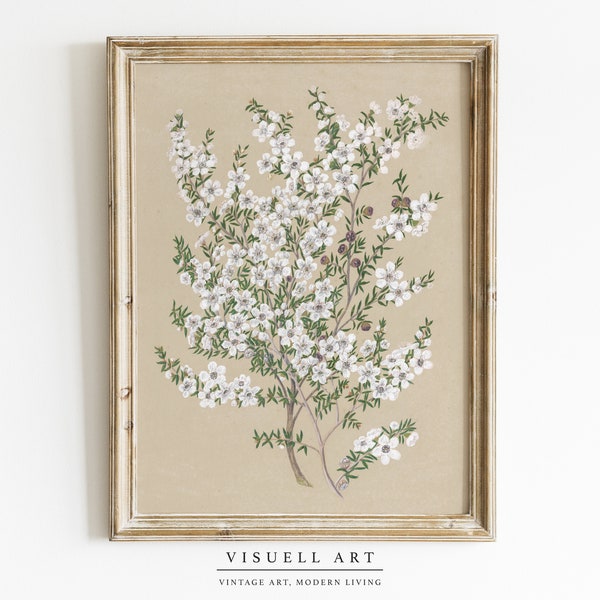 Muted Vintage Flower Print, Neutral Floral Still Life Oil Painting, Vintage Painting, Botanical Sketch, Farmhouse Print, Digital download