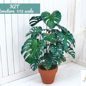 Kit piante in miniatura Monstera fiori per casa delle bambole miniature in scala 12 fai da te