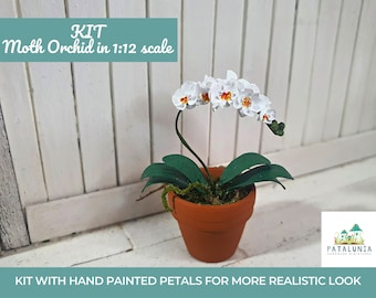 Miniature Botanical Orchid Painting Set - 3 Gold Frame Pictures For Dollhouse Decor (1:12 Scale) - View #2