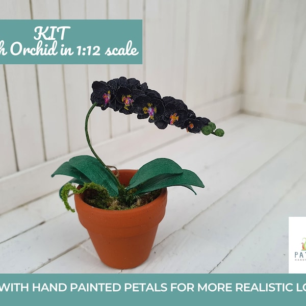 Kit miniature plants black Moth Orchid dollhouse miniatures in 12th scale DIY Phalaenopsis