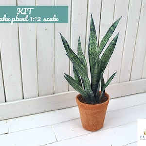 May include: A DIY kit for a 1:12 scale snake plant, featuring a terracotta pot and green leaves with a speckled pattern. The kit is labeled "KIT Snake plant 1:12 scale".