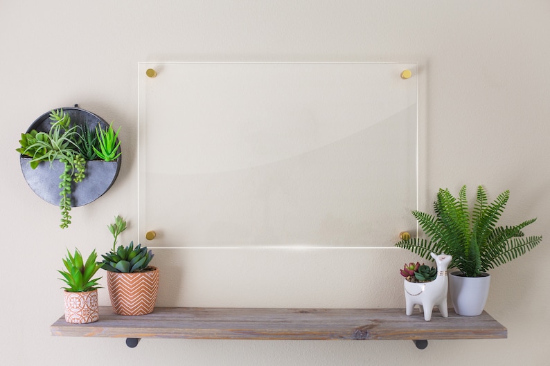 May include: A wooden shelf with three potted plants, a clear acrylic picture frame, and a white ceramic llama figurine. The plants are a succulent, a fern, and a small cactus. The shelf is mounted on a beige wall.