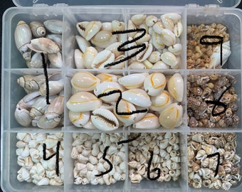 SHELLS Large Lot of Crafting Jewelry Drilled Shell Collection - Lots of Types and Sizes