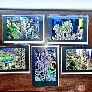 Set of 5 - Ice and Trees - Art Photography Blank Writing Cards - Remote Vancouver Island BC Canada