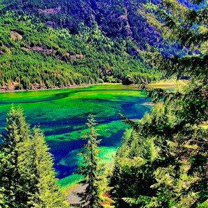 May include: A lush green forest surrounds a bright blue lake with a vibrant green bottom. The water is clear and shallow, revealing the green algae and plants beneath the surface. The forest is dense and full of tall trees.