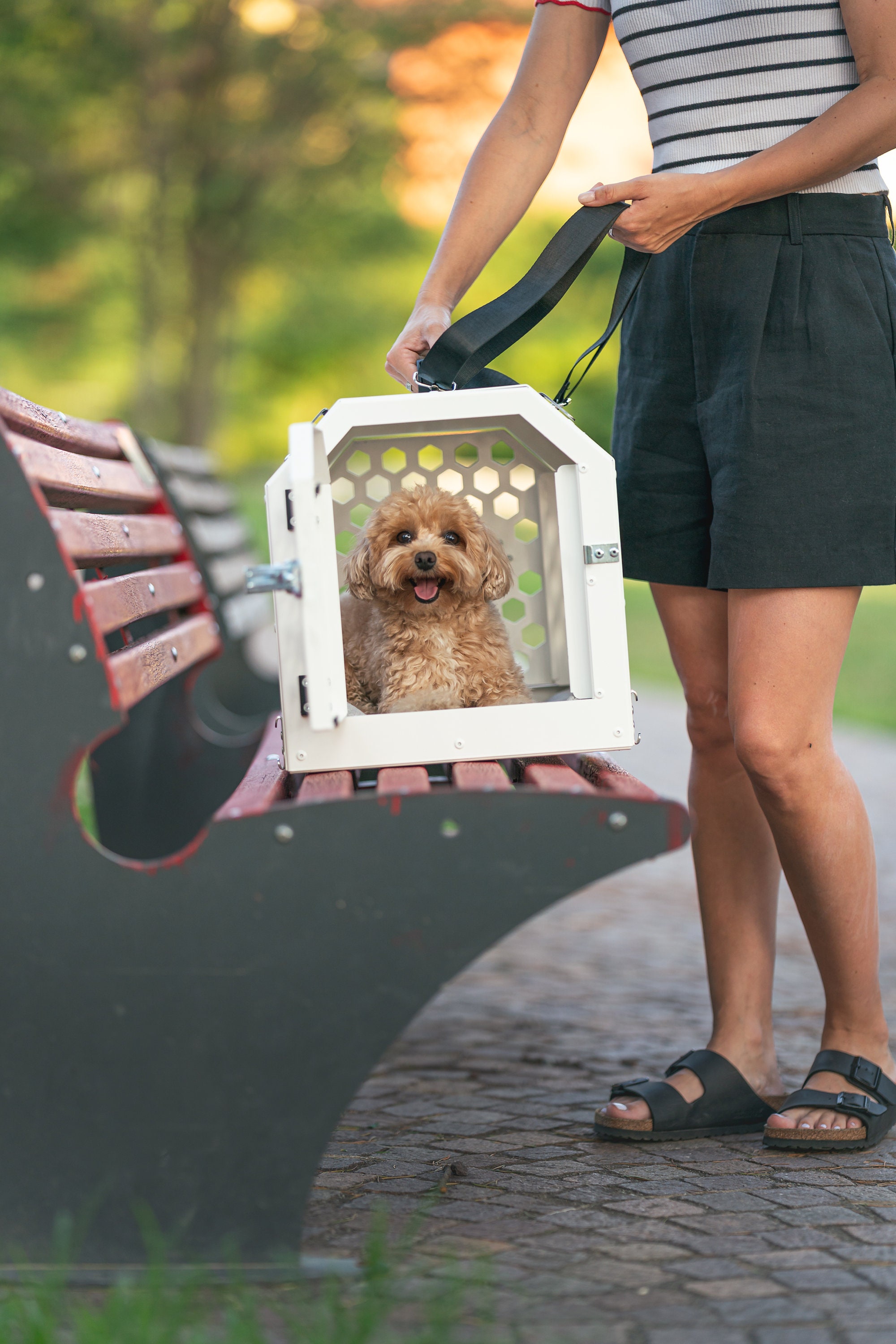 Small Dog Carrier, Dog Car Carrier, Small Dog Car Kennel, Seat Carrier