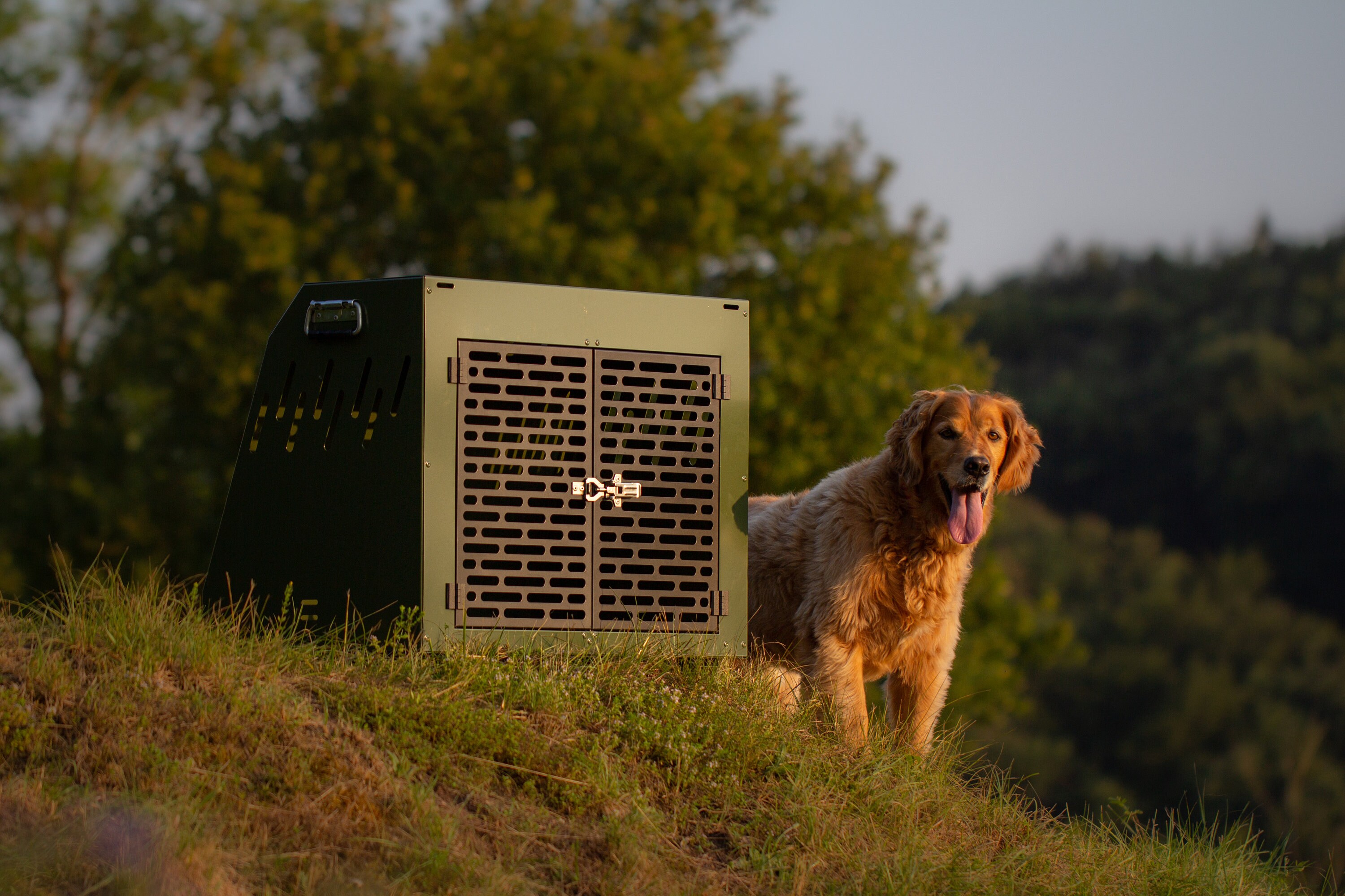 Aluminum Dog Crates for sale compared to CraigsList Only 3 left at 75