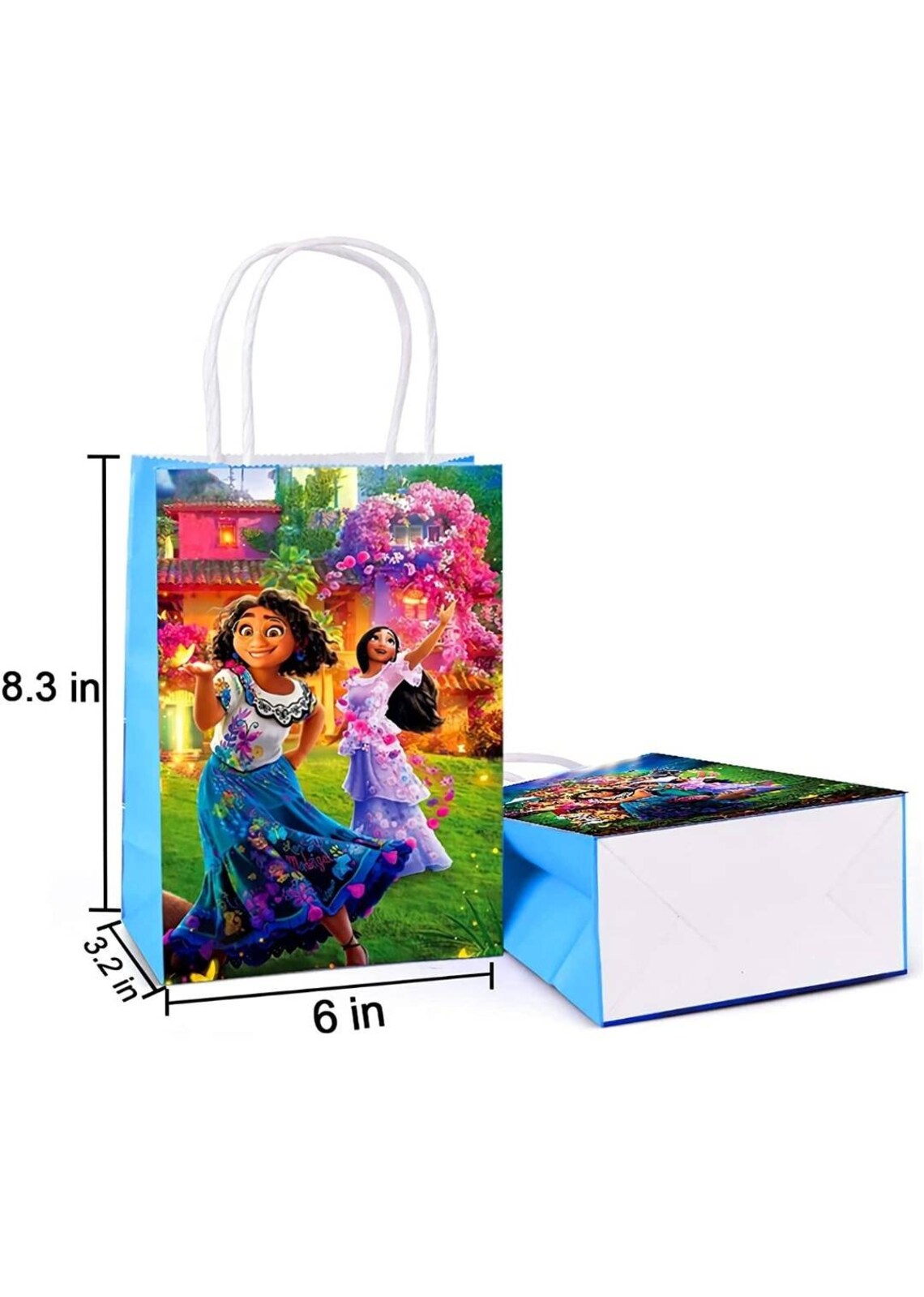 16 Pc Encanto Gift Bags Encanto Birthday Encanto Party Etsy