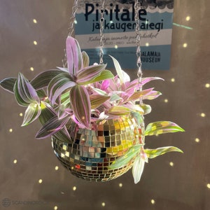 May include: A hanging planter made from a disco ball with a green and pink plant growing inside. The plant is hanging from a silver chain.