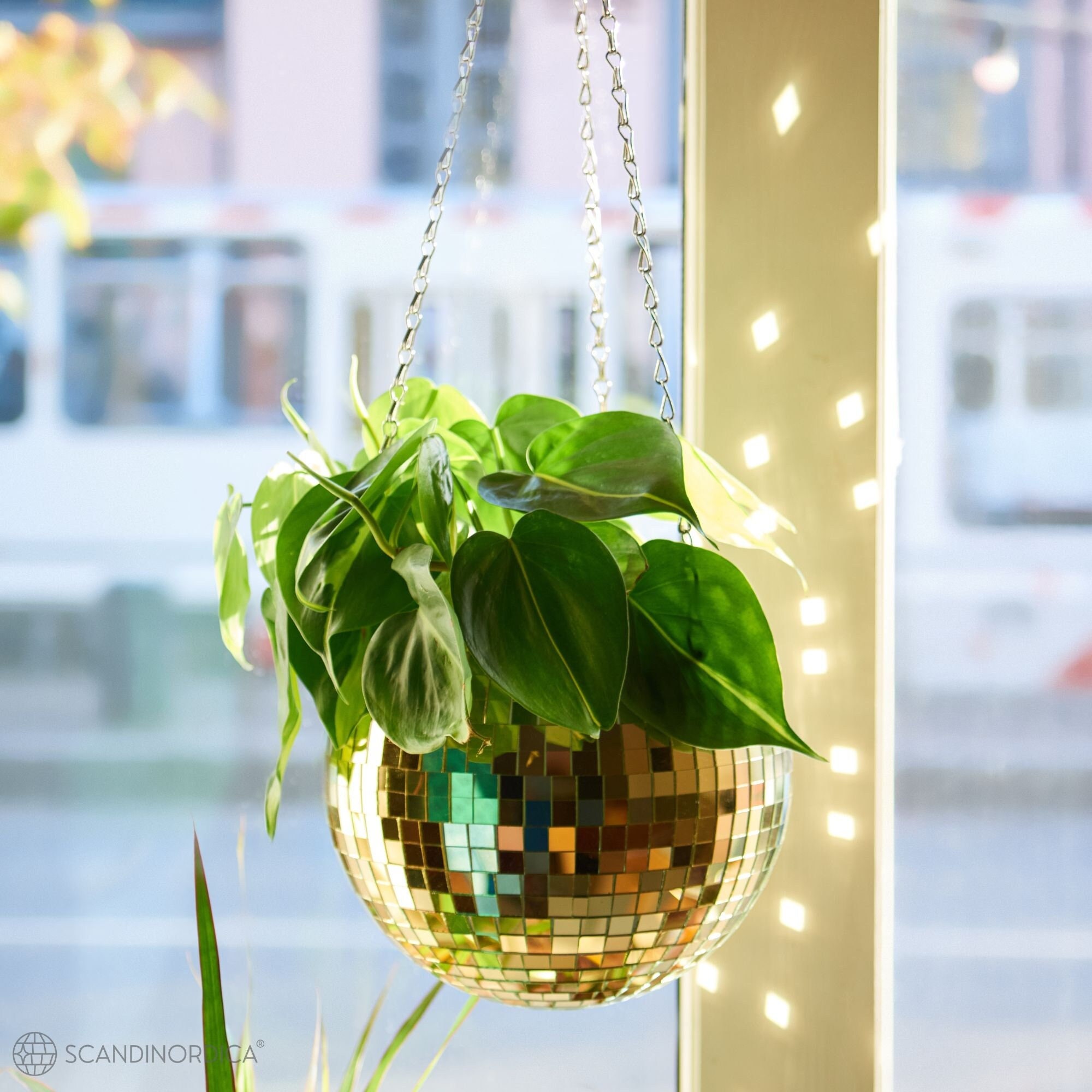 SCANDINORDICA Disco Ball Planter 8 Doré Support pour plantes boule